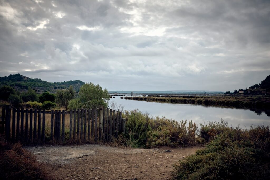 Séverine Jaulent : de la rigueur notariale à l’expertise immobilière internationale