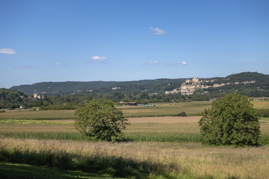 De la relation client à l’immobilier : le parcours d’un conseiller au cœur du triangle d’or