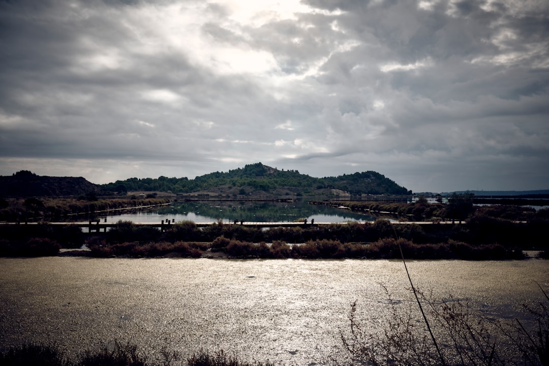 Arnaud Masip : l’immobilier à Axat, une histoire de famille et de terrain